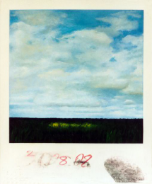 POLAROID 5, 2001, 55X45 cm